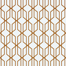 Cargar imagen en el visor de la galería, Modern Geometric Shape 3D Hexagon Bronze Lines Peel and Stick Wallpaper | Removable Wall Mural #6213
