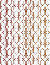 Cargar imagen en el visor de la galería, Modern Geometric Shape 3D Hexagon Bronze Lines Peel and Stick Wallpaper | Removable Wall Mural #6213
