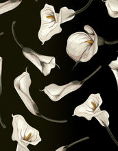 Load image into Gallery viewer, Elegant Rustic Tulip Flower Peel and Stick Wallpaper | Removable Wall Mural #6216
