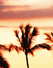 Cargar imagen en el visor de la galería, Tropical Sunset Palm Tree Paradise Wall Mural. #6236
