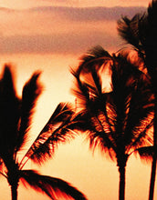 Cargar imagen en el visor de la galería, Tropical Sunset Palm Tree Paradise Wall Mural. #6236
