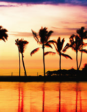 Cargar imagen en el visor de la galería, Tropical Sunset Palm Tree Paradise Wall Mural. #6236
