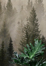 Cargar imagen en el visor de la galería, Misty Pine Tree Forest Landscape Wallpaper. Peel and Stick Wall Mural. Self Adhesive Nursery Wall Decor. #6237
