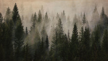 Load image into Gallery viewer, Misty Pine Tree Forest Landscape Wallpaper. Peel and Stick Wall Mural. Self Adhesive Nursery Wall Decor. #6237
