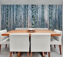 Cargar imagen en el visor de la galería, White Birch Tree Forest Wall Mural Wallpaper. Sunset Scenery. #6246
