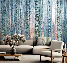 Cargar imagen en el visor de la galería, White Birch Tree Forest Wall Mural Wallpaper. Sunset Scenery. #6246
