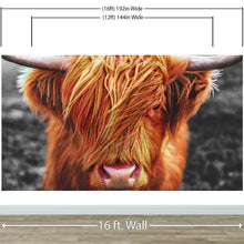 Load image into Gallery viewer, Highland Cow Cattle Head Wall Mural - Farmhouse Charm for Your Home. #6279
