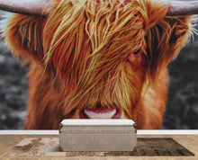 Load image into Gallery viewer, Highland Cow Cattle Head Wall Mural - Farmhouse Charm for Your Home. #6279
