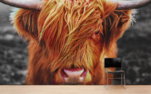 Load image into Gallery viewer, Highland Cow Cattle Head Wall Mural - Farmhouse Charm for Your Home. #6279
