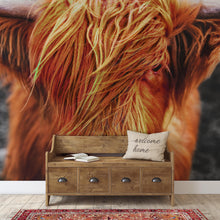 Load image into Gallery viewer, Highland Cow Cattle Head Wall Mural - Farmhouse Charm for Your Home. #6279
