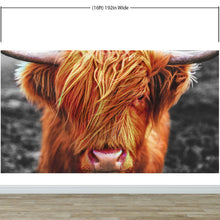 Load image into Gallery viewer, Highland Cow Cattle Head Wall Mural - Farmhouse Charm for Your Home. #6279
