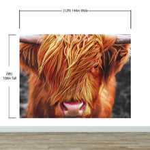 Load image into Gallery viewer, Highland Cow Cattle Head Wall Mural - Farmhouse Charm for Your Home. #6279
