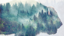 Load image into Gallery viewer, Foggy Mountain Forest View with Bison Buffalo Overlay Natural Scenery Wall Mural #6282.
