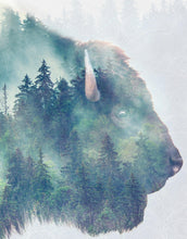 Load image into Gallery viewer, Foggy Mountain Forest View with Bison Buffalo Overlay Natural Scenery Wall Mural #6282.
