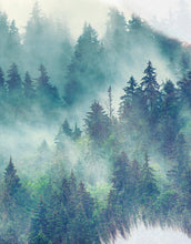 Cargar imagen en el visor de la galería, Foggy Mountain Forest View with Bison Buffalo Overlay Natural Scenery Wall Mural #6282.
