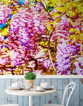 Cargar imagen en el visor de la galería, Colorful Purple Wisteria Flower Wall Mural. Peel and Stick Wallpaper. #6307
