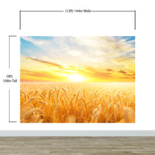 Cargar imagen en el visor de la galería, Sunset Sunrise over Farmland Wheat Field Wall Mural. Peel and Stick Wall Paper. #6323
