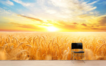 Load image into Gallery viewer, Sunset Sunrise over Farmland Wheat Field Wall Mural. Peel and Stick Wall Paper. #6323
