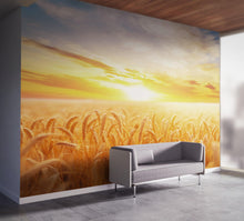 Load image into Gallery viewer, Sunset Sunrise over Farmland Wheat Field Wall Mural. Peel and Stick Wall Paper. #6323
