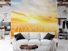 Cargar imagen en el visor de la galería, Sunset Sunrise over Farmland Wheat Field Wall Mural. Peel and Stick Wall Paper. #6323
