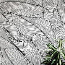 Load image into Gallery viewer, Banana Leaves Wallpaper, Palm Leaves Line Art Pattern Peel and Stick Wall Mural. #6330
