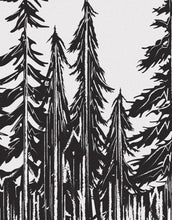 Load image into Gallery viewer, Forest Trees Trunks Grunge Illustration Wall Mural. Peel and Stick Wallpaper. Abstract Lines Silhouette Outdoors Scenery. #6345
