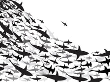 Cargar imagen en el visor de la galería, Shark Frenzy Underwater Wall Mural. Peel and Stick Wallpaper. Black and White Shark Silhouettes  #6347
