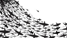 Load image into Gallery viewer, Shark Frenzy Underwater Wall Mural. Peel and Stick Wallpaper. Black and White Shark Silhouettes  #6347
