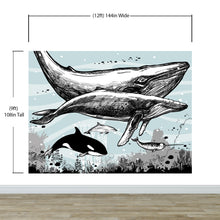 Carregar imagem no visualizador da galeria, Whale, Dolphin, Killer Whale Wall Mural. Underwater Sea Life Drawing Design. Peel and Stick Wall Mural. #6354
