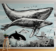 Carregar imagem no visualizador da galeria, Whale, Dolphin, Killer Whale Wall Mural. Underwater Sea Life Drawing Design. Peel and Stick Wall Mural. #6354
