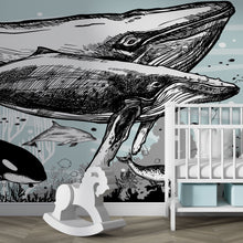 Cargar imagen en el visor de la galería, Whale, Dolphin, Killer Whale Wall Mural. Underwater Sea Life Drawing Design. Peel and Stick Wall Mural. #6354
