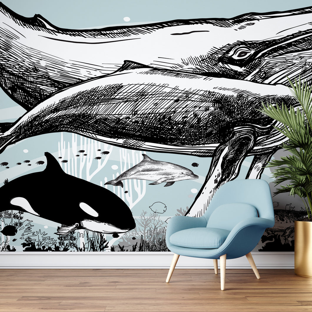 Whale, Dolphin, Killer Whale Wall Mural. Underwater Sea Life Drawing Design. Peel and Stick Wall Mural. #6354