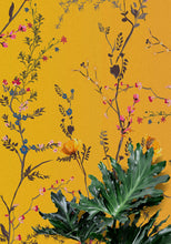 Cargar imagen en el visor de la galería, Botanical Flower Garden With Yellow Orange Background Wall Mural. Blossom Flower Decor. #6355
