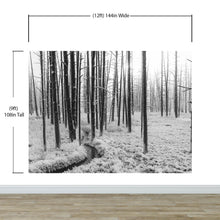 Cargar imagen en el visor de la galería, Black and White Forest Landscape Wall Mural. Peel and Stick Wallpaper. #6365
