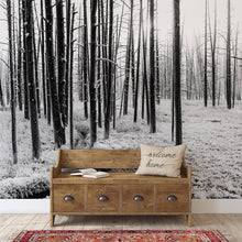 Cargar imagen en el visor de la galería, Black and White Forest Landscape Wall Mural. Peel and Stick Wallpaper. #6365
