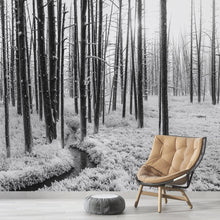 Cargar imagen en el visor de la galería, Black and White Forest Landscape Wall Mural. Peel and Stick Wallpaper. #6365
