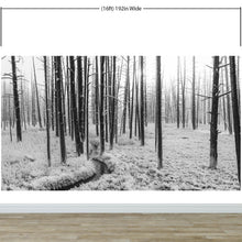 Cargar imagen en el visor de la galería, Black and White Forest Landscape Wall Mural. Peel and Stick Wallpaper. #6365
