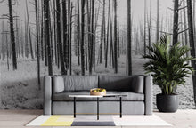 Cargar imagen en el visor de la galería, Black and White Forest Landscape Wall Mural. Peel and Stick Wallpaper. #6365
