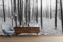 Cargar imagen en el visor de la galería, Black and White Forest Landscape Wall Mural. Peel and Stick Wallpaper. #6365
