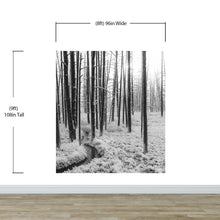 Cargar imagen en el visor de la galería, Black and White Forest Landscape Wall Mural. Peel and Stick Wallpaper. #6365
