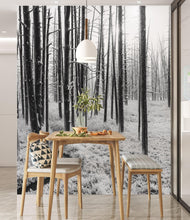 Cargar imagen en el visor de la galería, Black and White Forest Landscape Wall Mural. Peel and Stick Wallpaper. #6365
