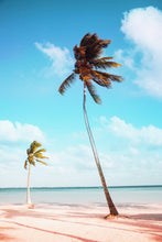 Cargar imagen en el visor de la galería, Palm Tree on Beach Coastline Wall Mural. Tropical Theme Peel and Stick Wallpaper Decor. #6401
