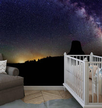 Carregar imagem no visualizador da galeria, Milky Way Galaxy Stars Wall Mural. Starry Night Over Devils Tower National Monument Park. #6416
