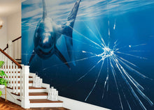 Carregar imagem no visualizador da galeria, Great White Shark Attack Aquarium Glass Wall Mural. Peel and Stick Wallpaper. #6424
