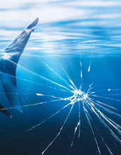 Load image into Gallery viewer, Great White Shark Attack Aquarium Glass Wall Mural. Peel and Stick Wallpaper. #6424
