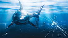 Load image into Gallery viewer, Great White Shark Attack Aquarium Glass Wall Mural. Peel and Stick Wallpaper. #6424
