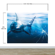 Load image into Gallery viewer, Great White Shark Attack Aquarium Glass Wall Mural. Peel and Stick Wallpaper. #6424
