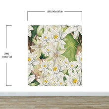 Carregar imagem no visualizador da galeria, Botanical Flower Wall Mural. Color Pencil Artwork of Flower Garden Peel and Stick Wallpaper. Paradise Botanical Flowers and Leave Black Background. #6426
