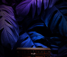 Load image into Gallery viewer, Tropical Wallpaper Blue and Purple Leaf Wall Mural on Dark Background #6445
