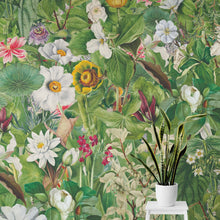 Carregar imagem no visualizador da galeria, Botanical Vegetation Garden Wall Mural. Color Pencil Artwork of Flower Garden Peel and Stick Wallpaper. Rainforest Jungle Botanical Flowers and Leafs Background. #6449
